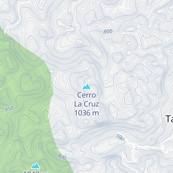 Map of Cerro La Cruz
