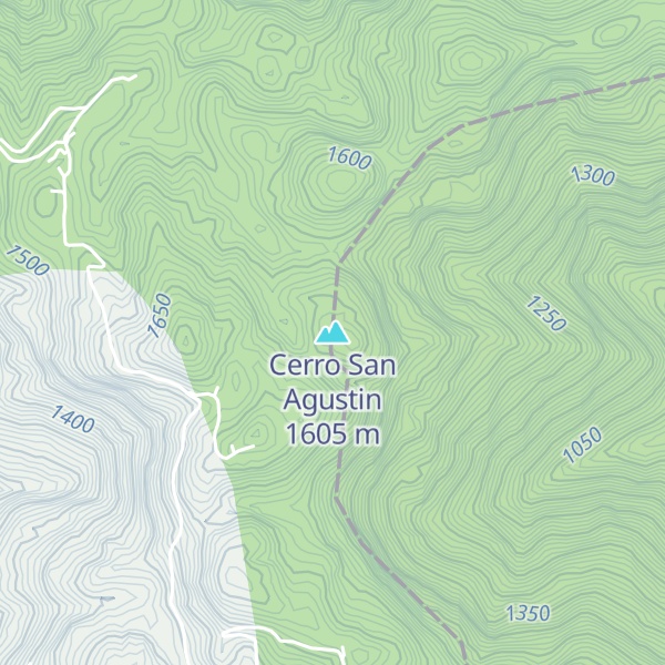 Map of Cerro San Agustin