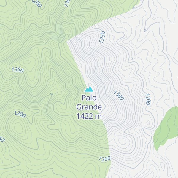 Map of Palo Grande