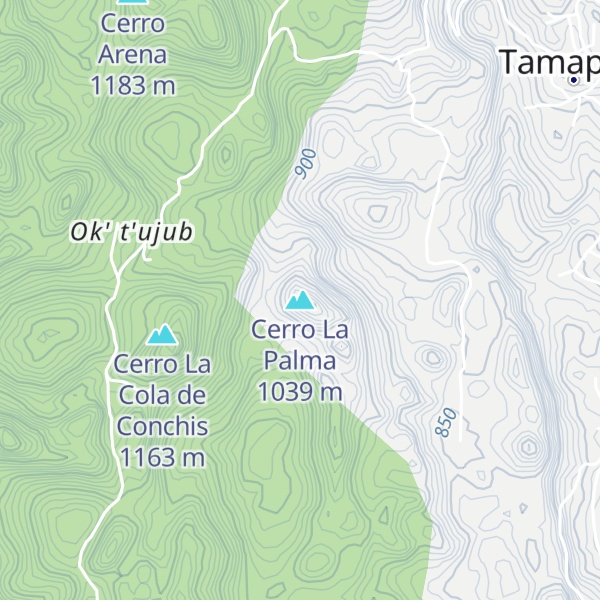Map of Cerro La Palma