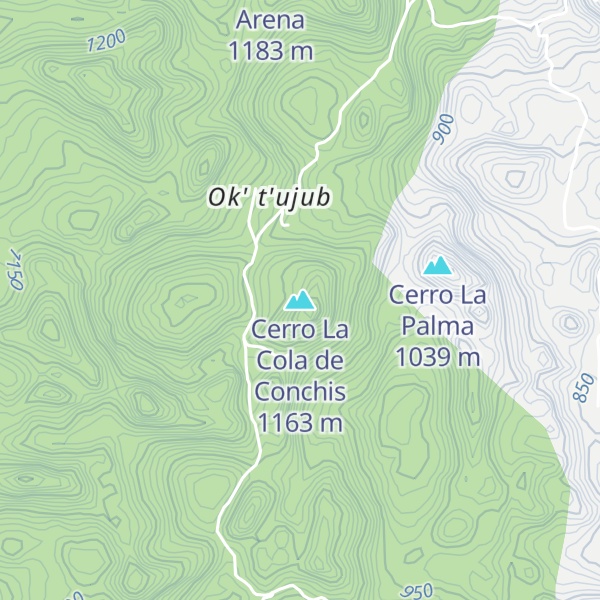 Map of Cerro La Cola de Conchis