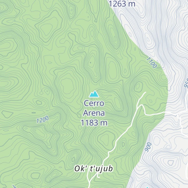 Map of Cerro Arena