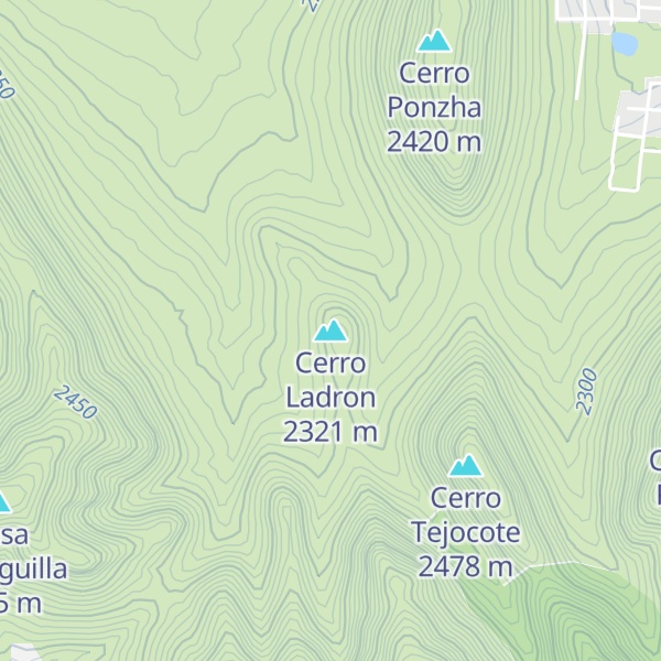 Map of Cerro Ladron