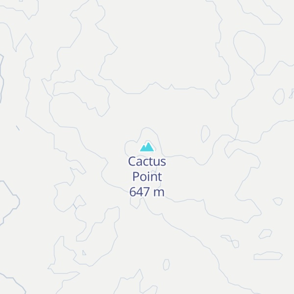 Map of Cactus Point