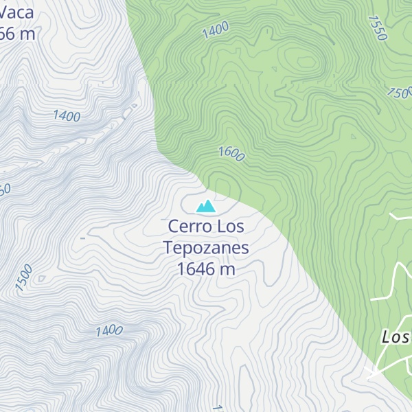 Map of Cerro Los Tepozanes