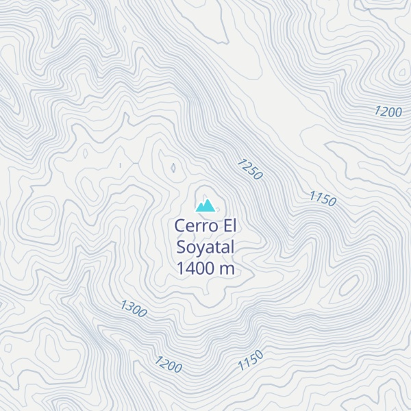 Map of Cerro El Soyatal