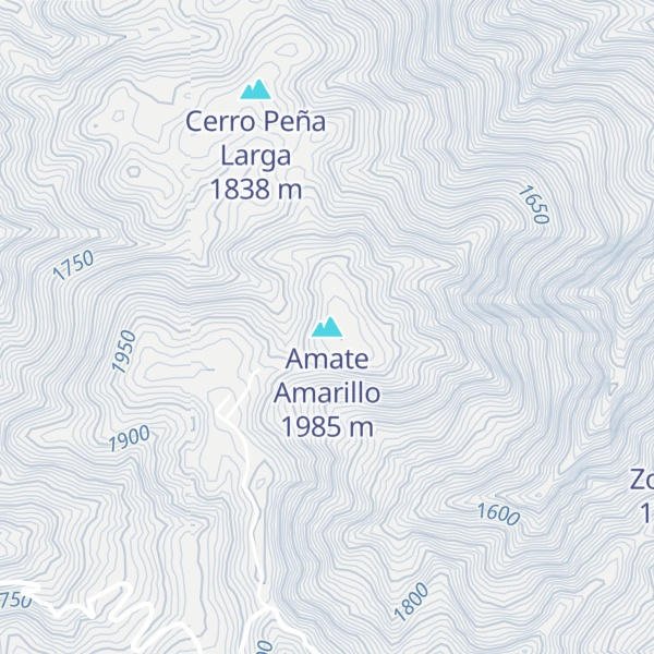 Map of Amate Amarillo
