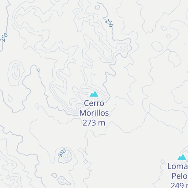 Map of Cerro Morillos