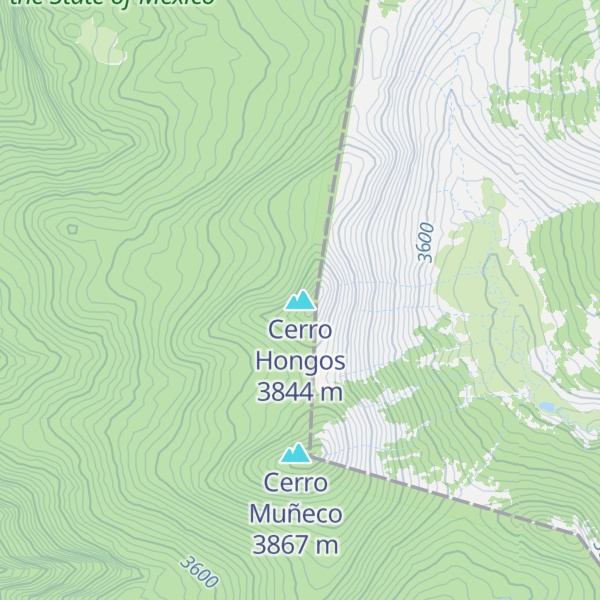 Map of Cerro Hongos