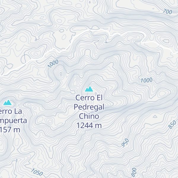 Map of Cerro El Pedregal Chino