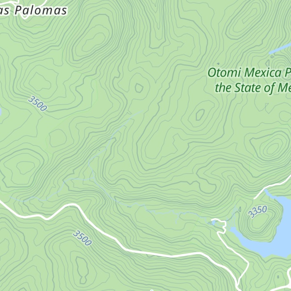Map of Cerro Los Puercos