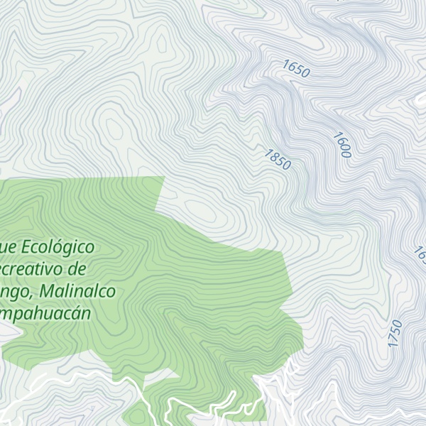 Map of Cerro Zoquiaque