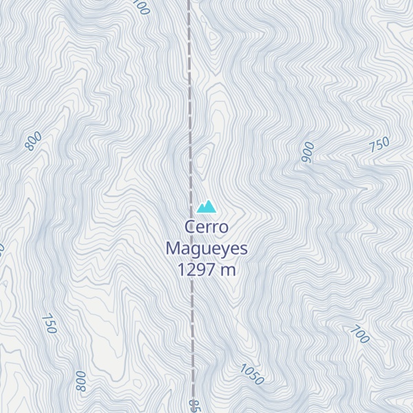 Map of Cerro Magueyes