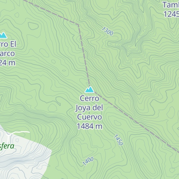 Map of Cerro Joya del Cuervo
