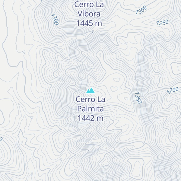Map of Cerro La Palmita