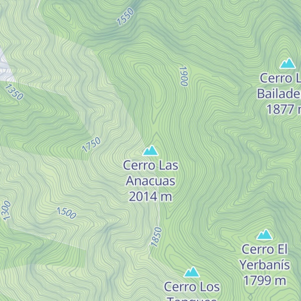 Map of Cerro Las Anacuas