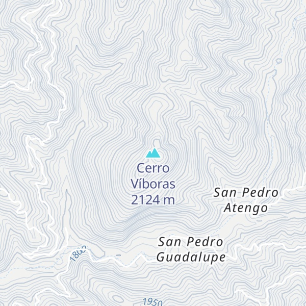 Map of Cerro Víboras