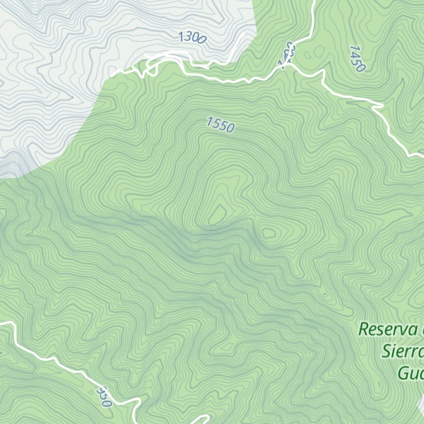 Map of Buenavista