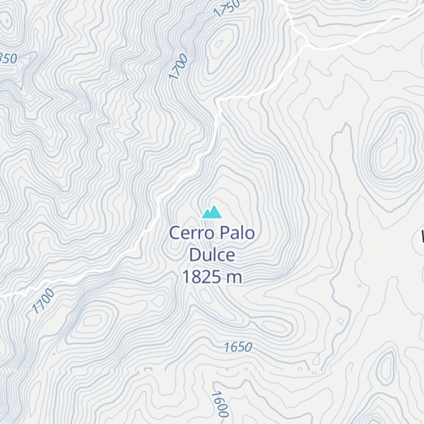 Map of Cerro Palo Dulce