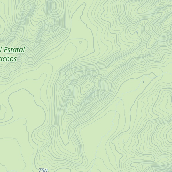 Map of Cerro Gordo