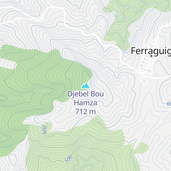 Map of Djebel Bou Hamza