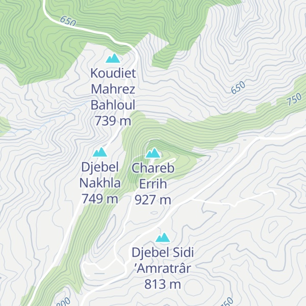 Map of Chareb Errih