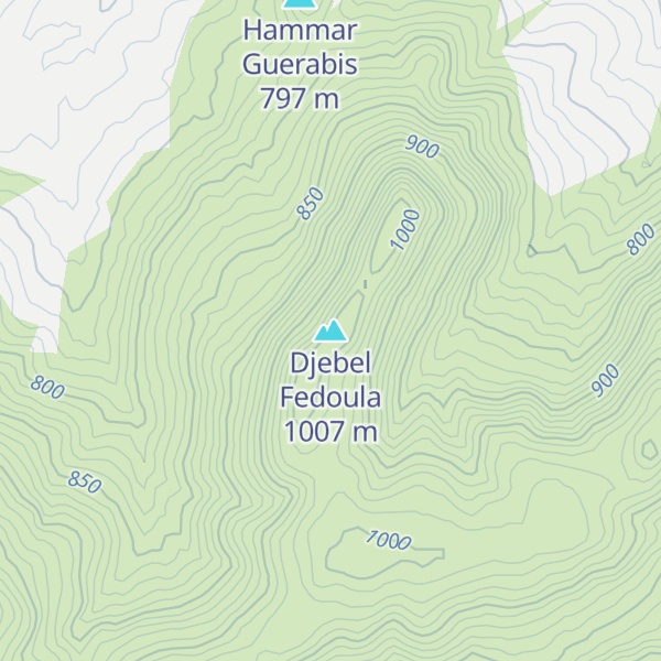 Map of Djebel Fedoula