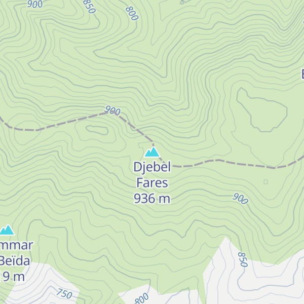 Map of Djebel Fares