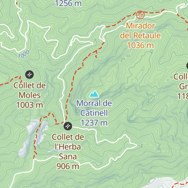Map of Morral de Catinell