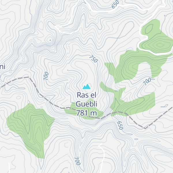 Map of Ras el Guebli