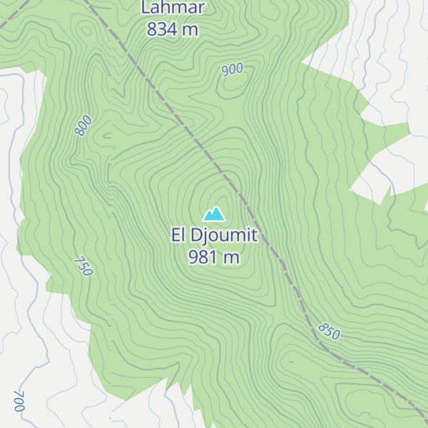 Map of El Djoumit
