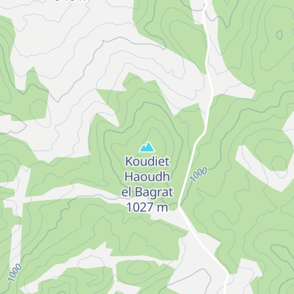 Map of Koudiet Haoudh el Bagrat