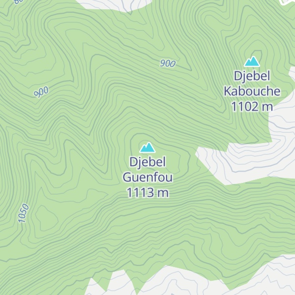 Map of Djebel Guenfou
