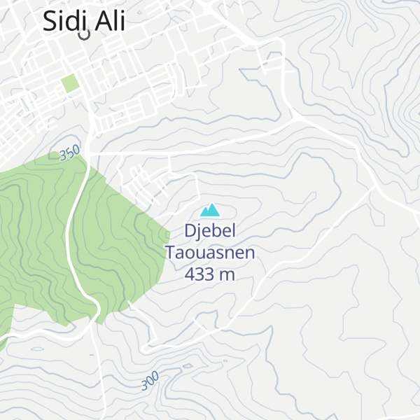 Map of Djebel Taouasnen