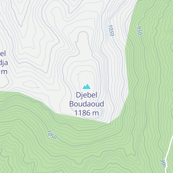 Map of Djebel Boudaoud