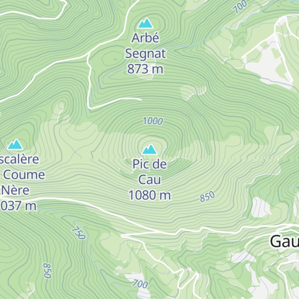Map of Pic de Cau