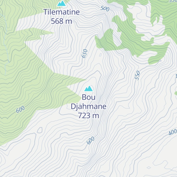 Map of Bou Djahmane