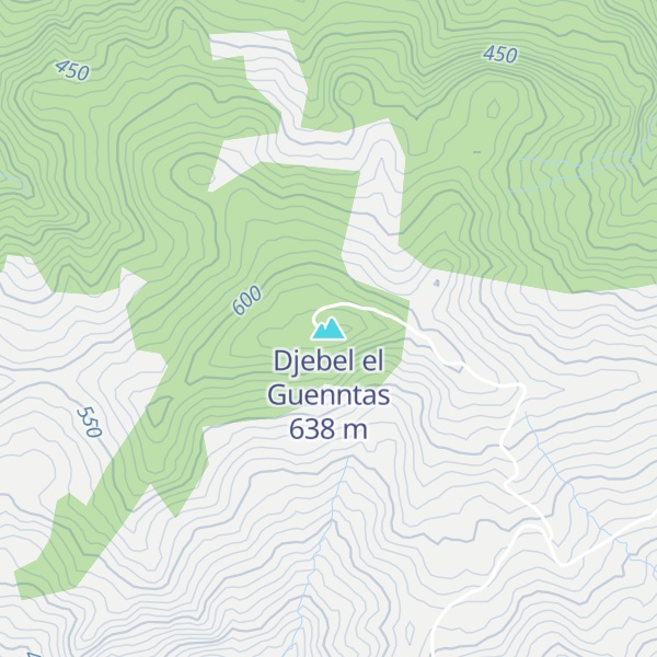 Map of Djebel el Guenntas