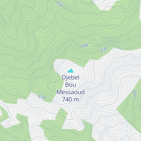 Map of Djebel Bou Messaoud