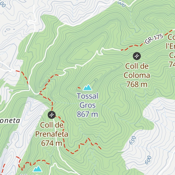 Map of Tossal Gros