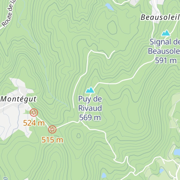 Map of Puy de Rivaud