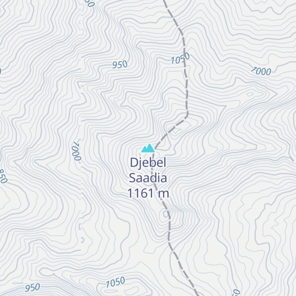 Map of Djebel Saadia