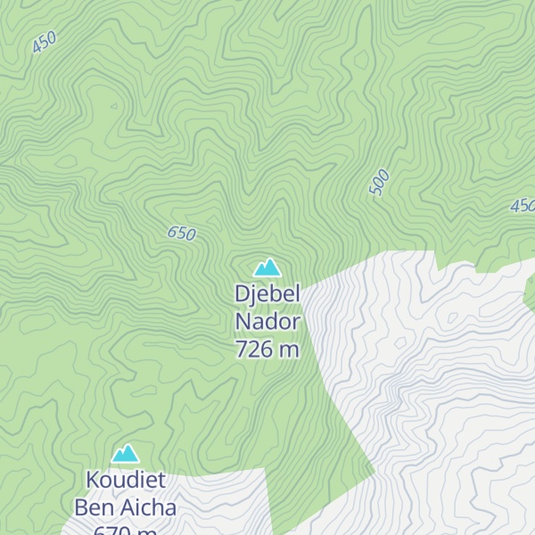 Map of Djebel Nador