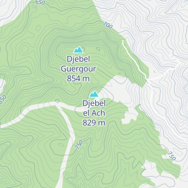Map of Djebel el Ach