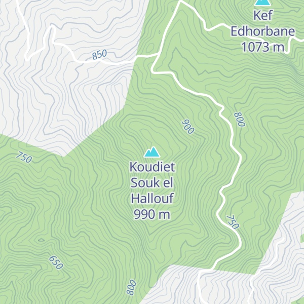 Map of Koudiet Souk el Hallouf