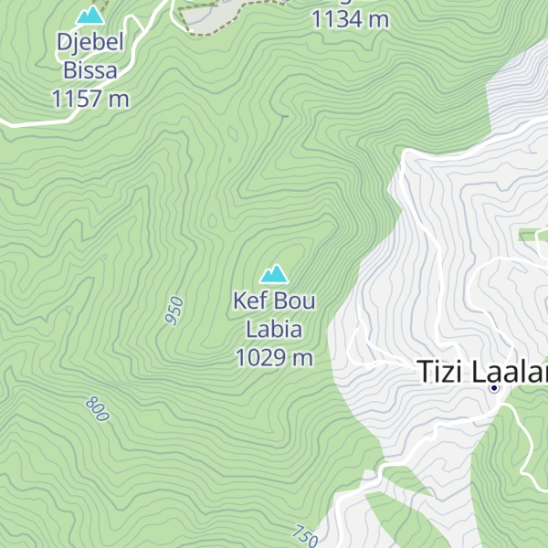 Map of Kef Bou Labia