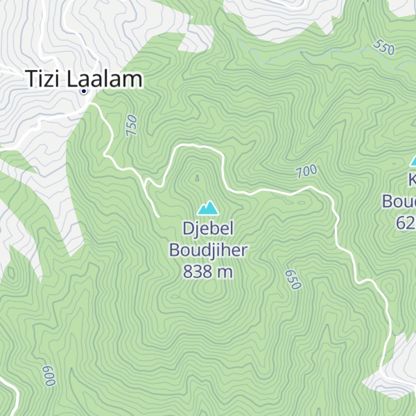 Map of Djebel Boudjiher