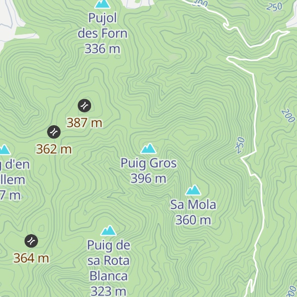 Map of Puig Gros