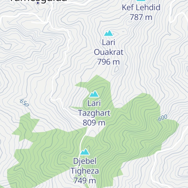 Map of Lari Tazghart