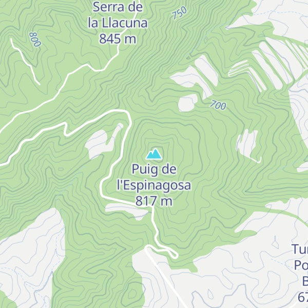 Map of Puig de l'Espinagosa